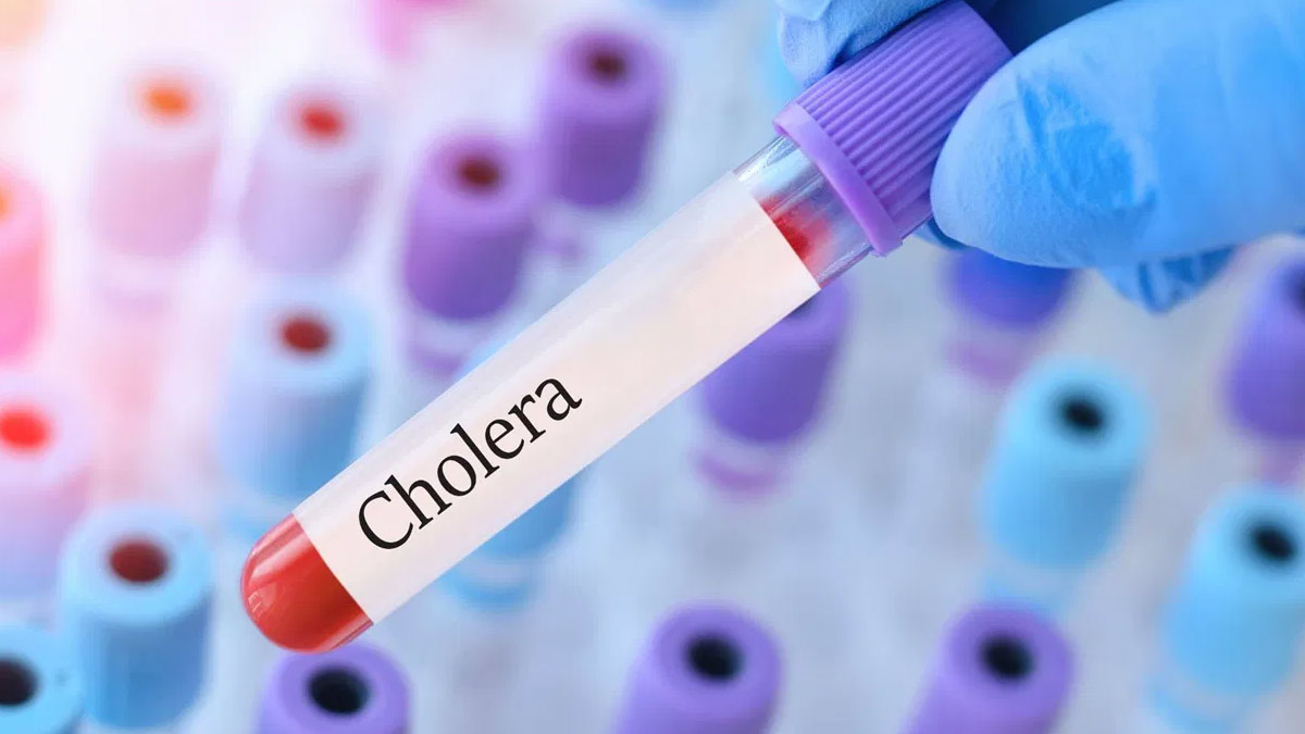 Cholera Deaths Surge 71% Globally, Reports WHO
